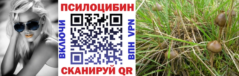 Галлюциногенные грибы Psilocybine cubensis  Добрянка 